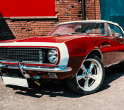 MUSCLE