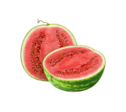 Melon